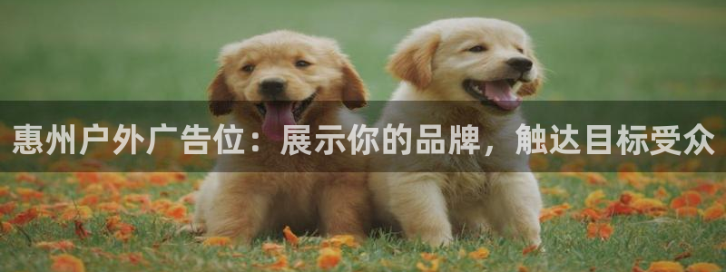 杏宇平台注册地址在哪里