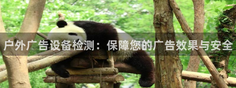 杏宇平台代理多少钱