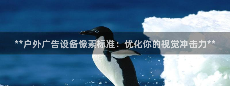 杏宇平台注册地址在哪里