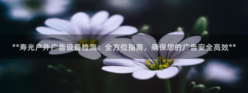 杏宇平台是什么：**寿光户外广告设备检测：全方位指南，确保您的广告安全高效**