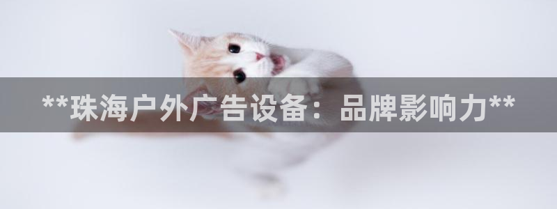 杏宇平台好吗：**珠海户外广告设备：品牌影响力**