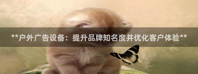 杏宇平台登陆：**户外广告设备：提升品牌知名度并优化客户体验**