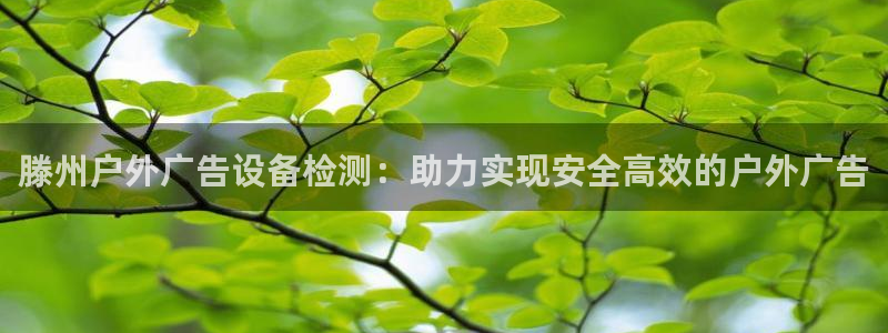 杏宇平台主管
