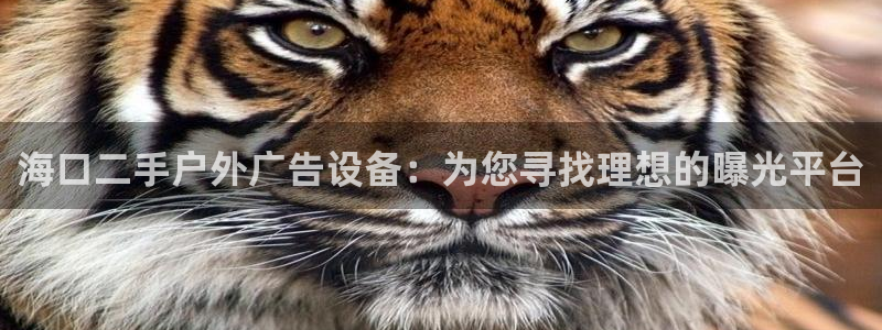 杏宇平台提现为什么这么久呢