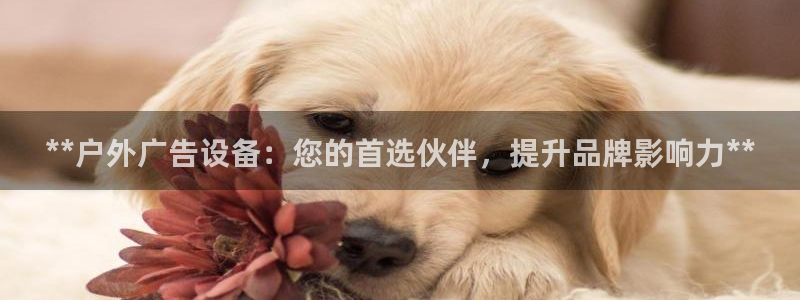 杏宇平台代理多少钱一个月