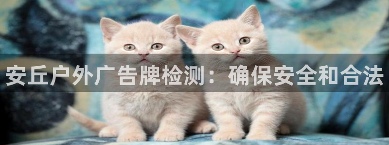 杏宇平台好吗