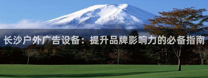 杏宇平台注册登录