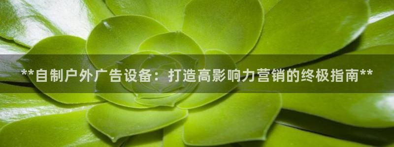 杏宇平台怎么样
