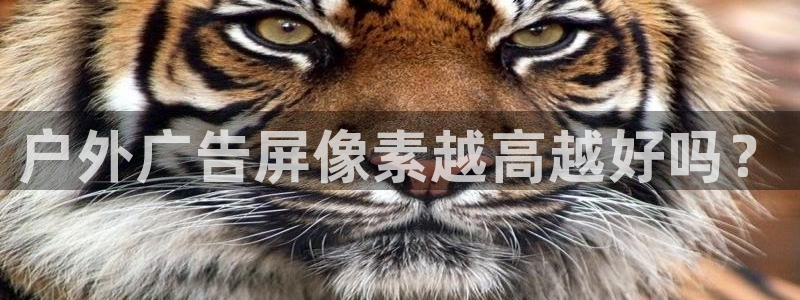 杏宇平台代理怎么赚钱快