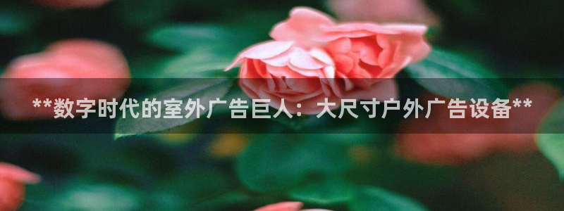 杏宇平台测速链接