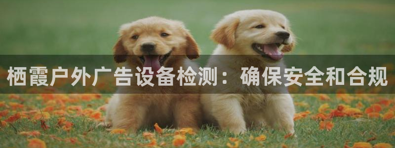 杏宇平台代理怎么样可靠吗