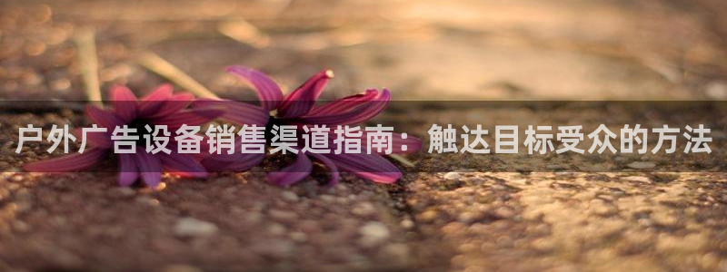 杏宇官方平台官网入口