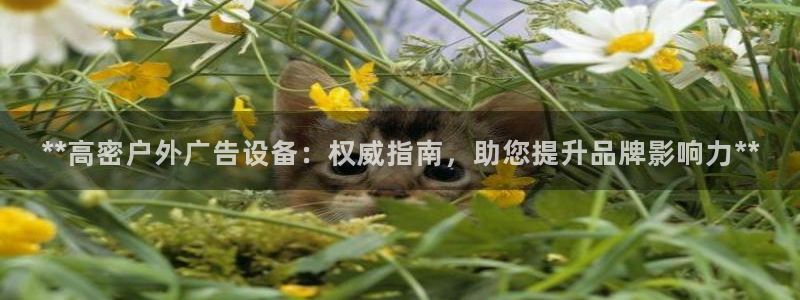 杏宇平台代理