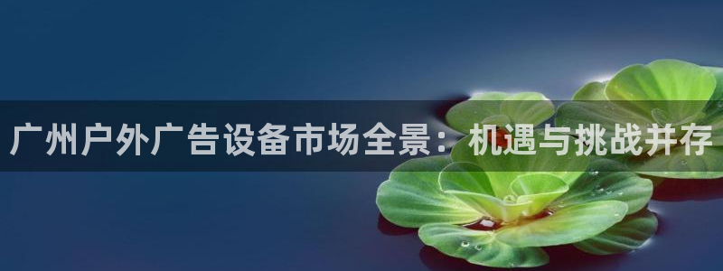 杏宇官方平台官网入口