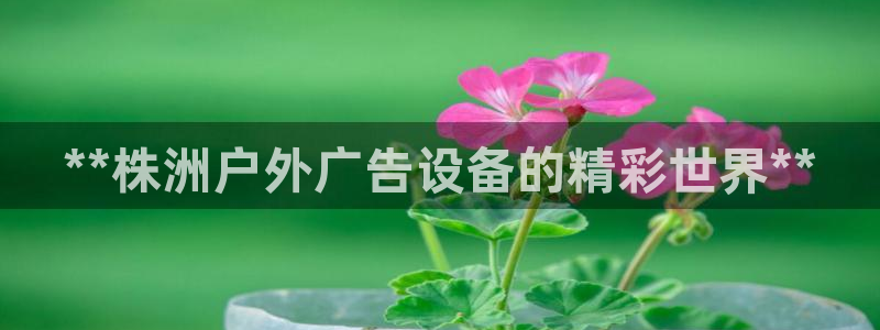 杏宇平台提现为什么这么久呢