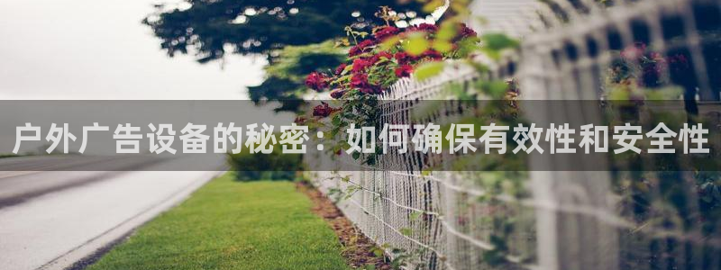 杏宇平台登录步骤是什么