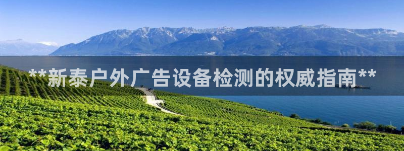 杏宇平台客服：**新泰户外广告设备检测的权威指南**