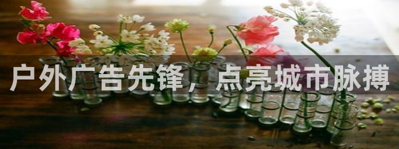 杏宇平台代理怎么样赚钱