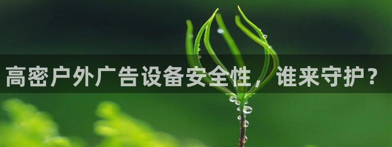 杏宇平台代理怎么样赚钱