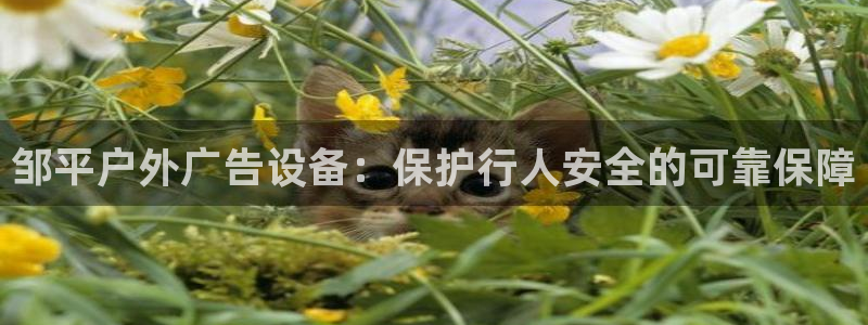 杏宇平台代理多少钱一个