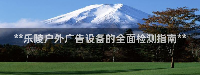 杏宇平台是什么