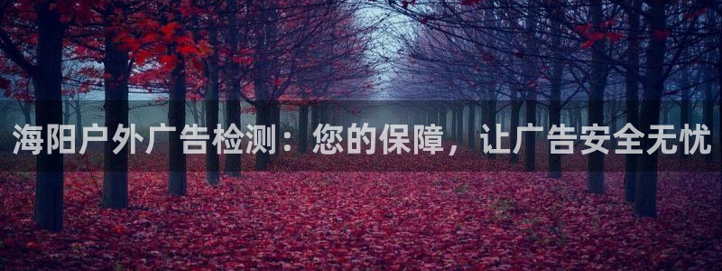 杏宇平台注册登录