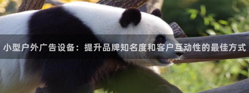 杏宇平台客服：小型户外广告设备：提升品牌知名度和客户互动性的最佳方式