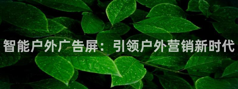 杏宇平台登录方法