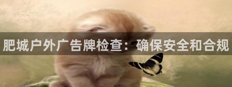 杏宇代理注册：肥城户外广告牌检查：确保安全和合规