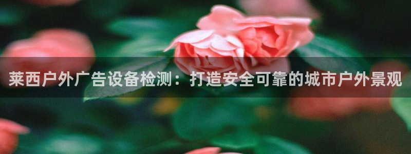 杏宇平台代理怎么样