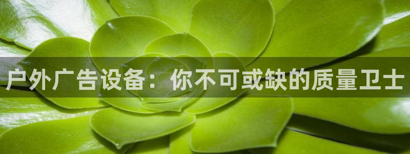 杏宇平台代理怎么赚钱