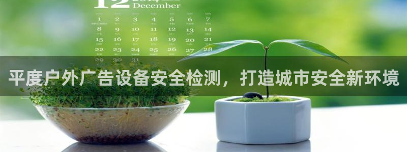 杏宇平台主管