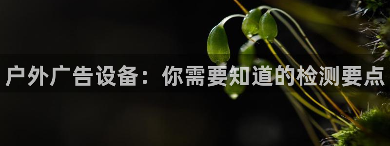 杏宇平台招商电话号码