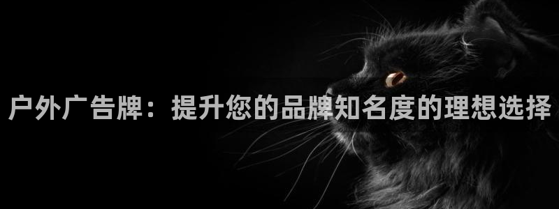 杏宇平台提现为什么这么久呢