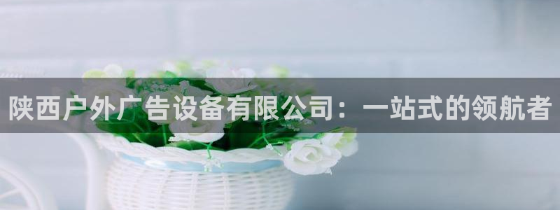 杏宇平台登录步骤是什么：陕西户外广告设备有限公司：一站式的领航者