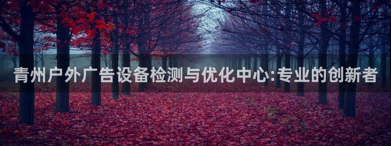 杏宇平台代理怎么赚钱：青州户外广告设备检测与优化中心:专业的创新者