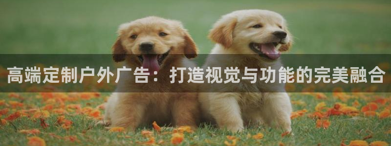 杏宇平台代理怎么赚钱快：高端定制户外广告：打造视觉与功能的完美融合