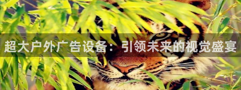 杏宇平台好吗：超大户外广告设备：引领未来的视觉盛宴