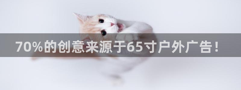 杏宇平台注册地址：70%的创意来源于65寸户外广告！