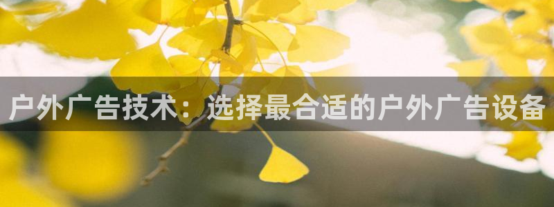 杏宇平台客服：户外广告技术：选择最合适的
