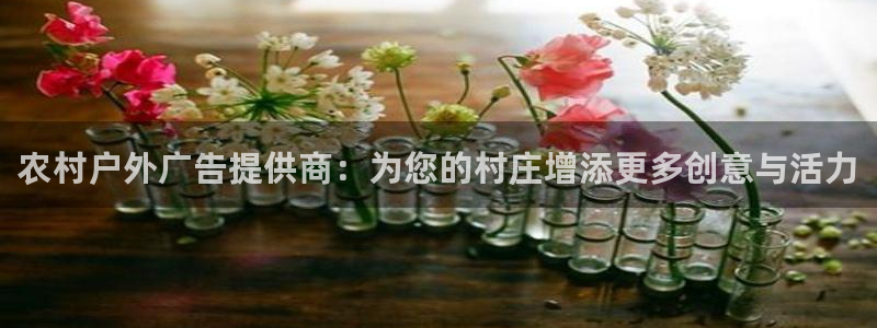 杏宇平台好吗：农村户外广告提供商：为您的