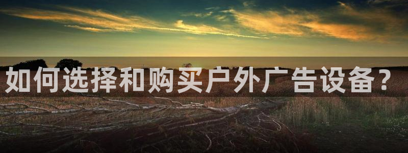 杏宇平台代理多少钱一个：如何选择和购买户