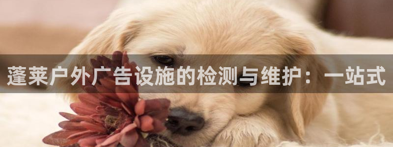 杏宇平台代理怎么样可靠吗：蓬莱户外广告设