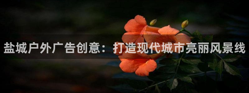 杏宇平台怎么样知乎：盐城户外广告创意：打