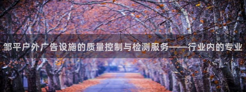 杏宇平台登录步骤是什么：邹平户外广告设施的质量控制与检测服务——行业内的专业