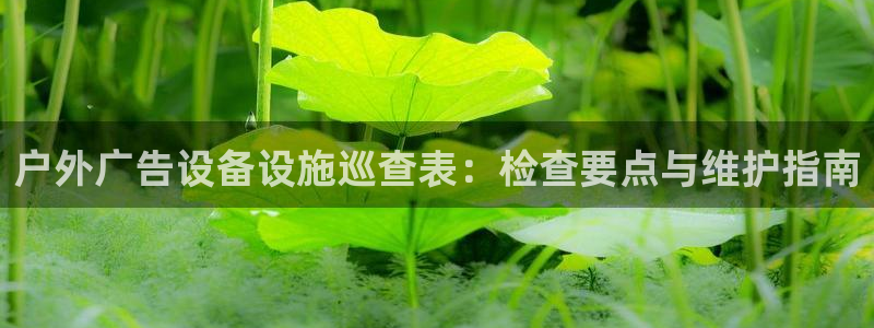 杏宇平台代理：户外广告设备设施巡查表：检查要点与维护指南