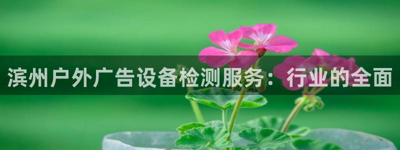 杏宇平台提现为什么这么久呢：滨州户外广告