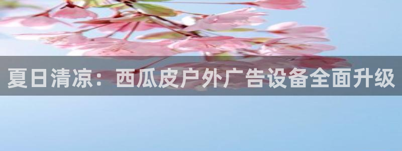 杏宇平台代理多少钱一个