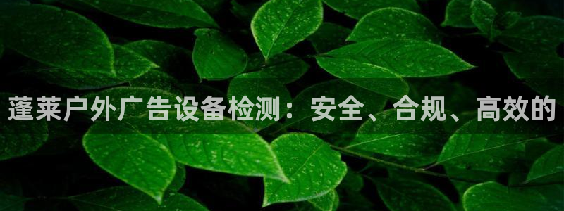 杏宇平台怎么样：蓬莱户外广告设备检测：安全、合规、高效的