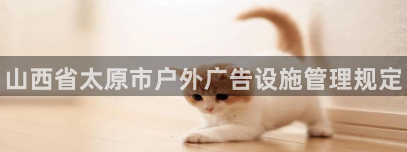 杏宇平台代理多少钱一个月